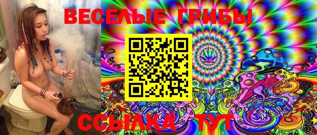 Галлюциногенные грибы Magic Shrooms Дубна